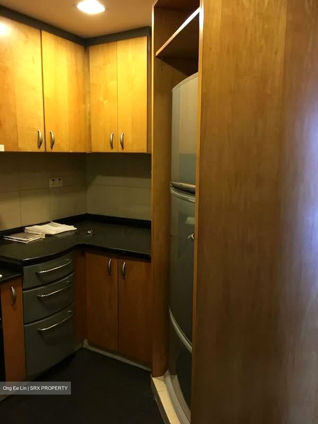 River Place (D3), Condominium #552054301